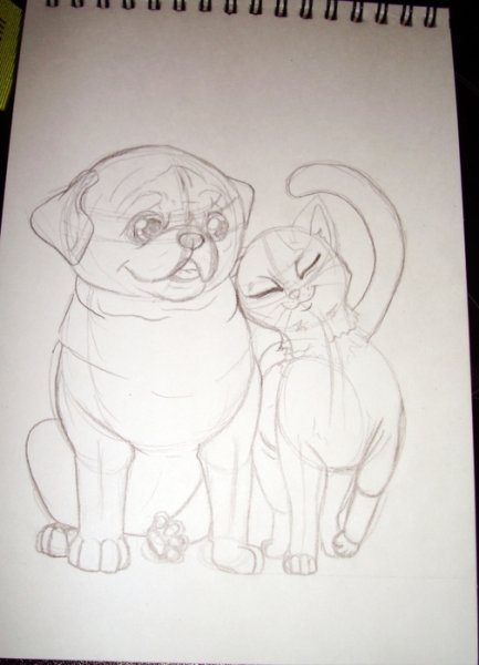 Кошка и собака рисунок