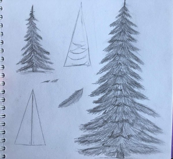 Елка для рисования