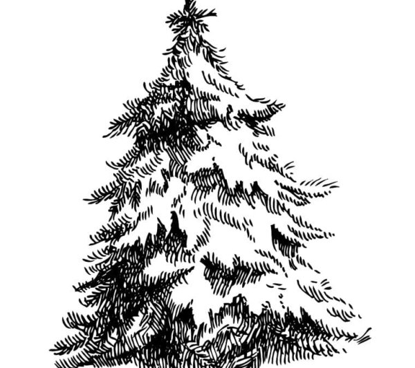 Елка рисунок