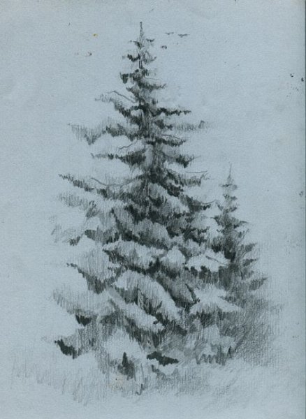 Ель карандашом