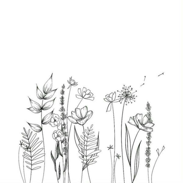 Полевые цветы Графика