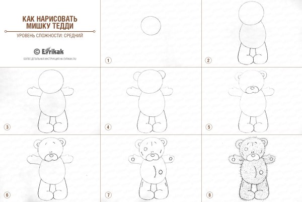 Мишка Тедди для рисования