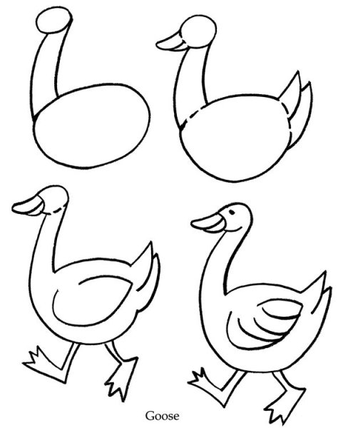 Поэтапное рисование гуся