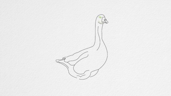Рисунки гуся для срисовки