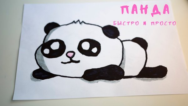 Лёгкие рисунки пандочки