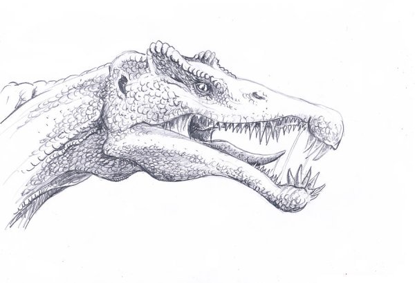 Рисунок динозавра карандашом для срисовки
