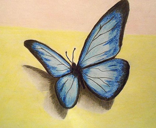Рисование бабочек цветными карандашами