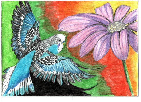 Рисунки на свободную тему цветными карандашами