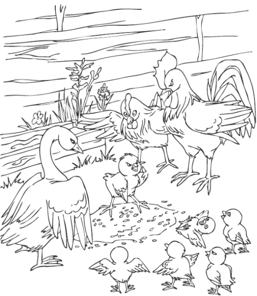 Раскраска птичий двор