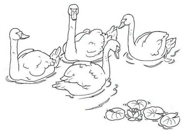 Раскраски к сказке Гадкий утенок Андерсена
