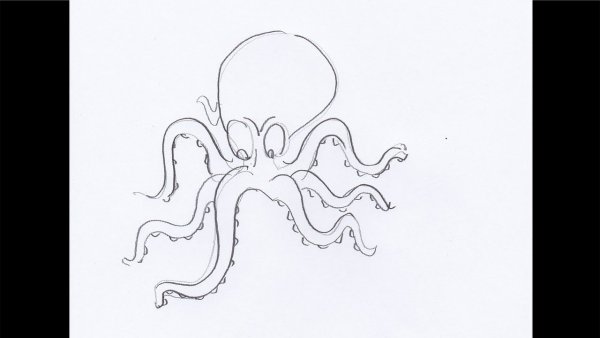 Осьминог рисунок легко