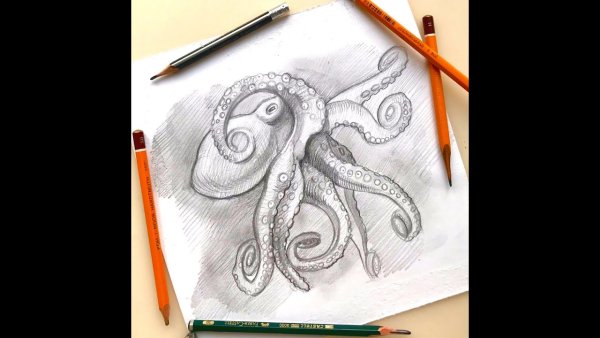 Как выглядит осьминог рисунок с карандашами или маркерами