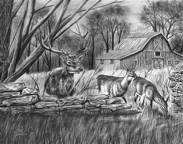 Пейзажи природы карандашом