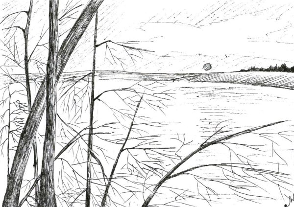 Пейзаж природы в графике