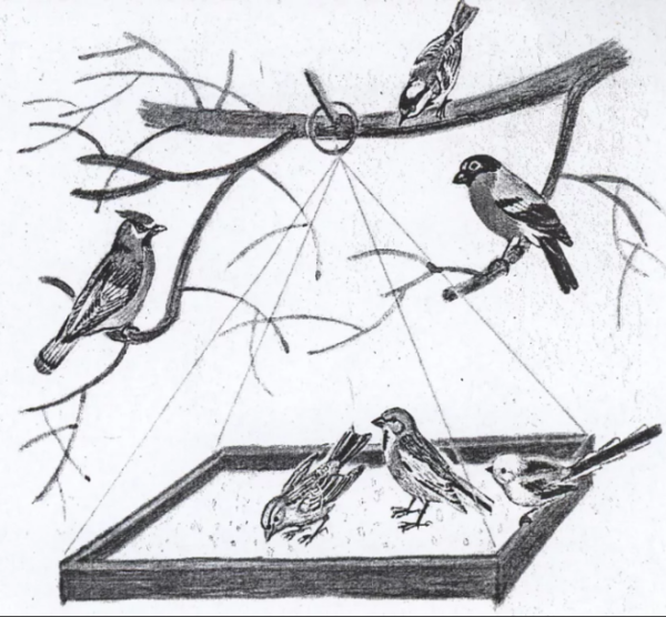 Кормушка для птиц раскраска