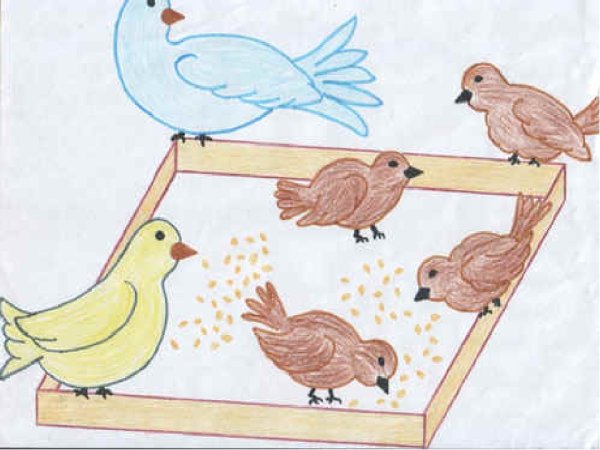 Рисование птицы на кормушке
