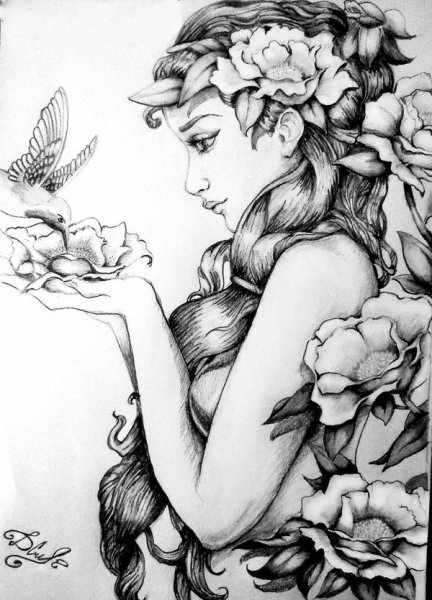 Рисунки карандашом