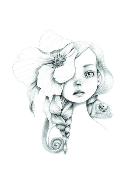 Эммануэль Колин рисунки