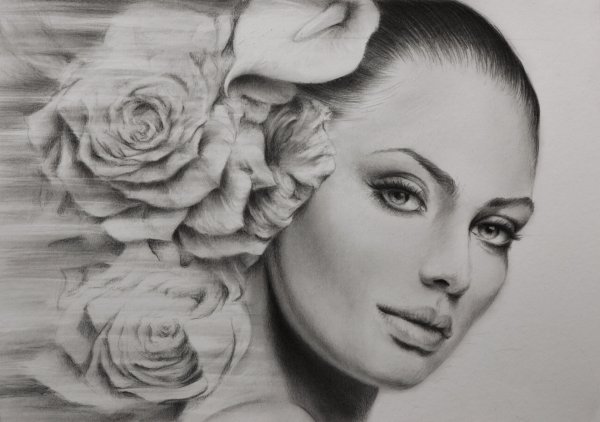 Красивые девушки карандашом
