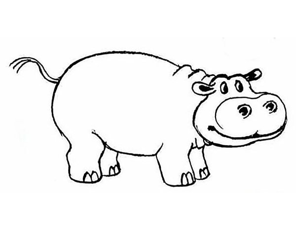 Бегемот поэтапное рисование для детей
