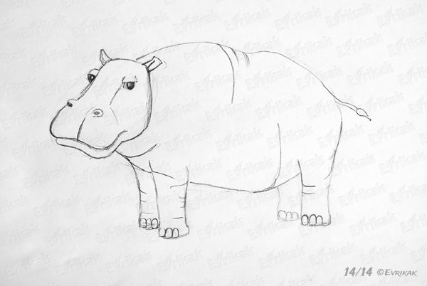 Бегемот поэтапное рисование для детей