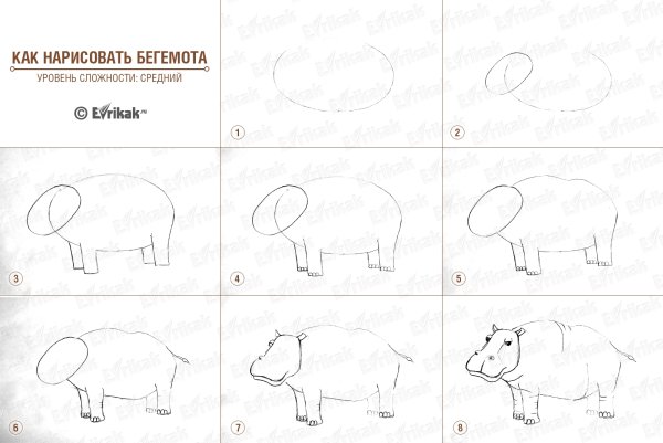 Раскраска Бегемот лёгкие