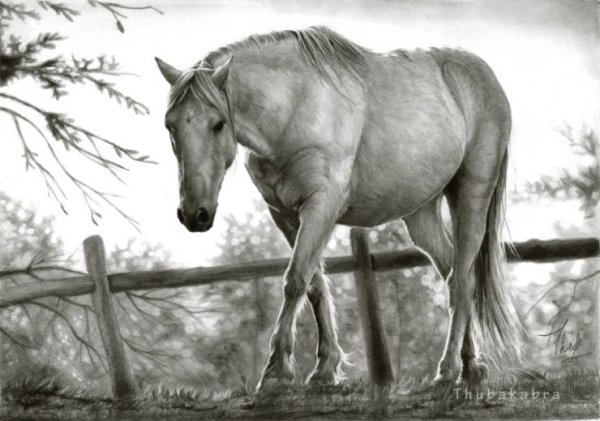 Каин карандашом