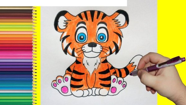 Тигр рисование для детей