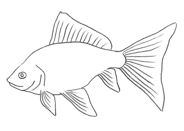 Рыбка рисунок карандашом