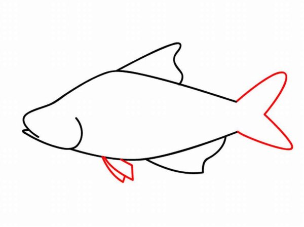 Рыба эскиз простой