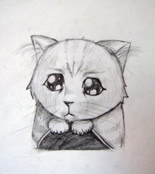 Котик карандашом