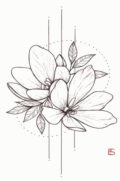 Цветы для срисовки для начинающих