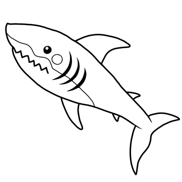 Акула рисунок