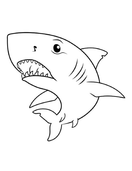 Акула рисунок