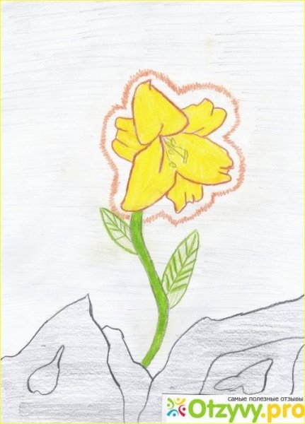 Неизвестный цветок Платонов рисунок