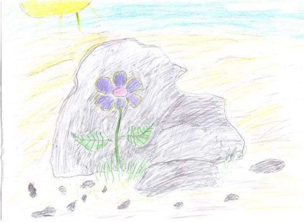 Иллюстрация к рассказу неизвестный цветок Платонов