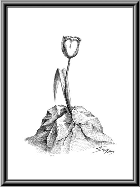 Каменный цветок рисунок