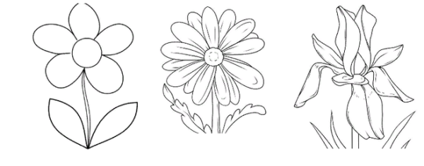 Нарисовать неизвестный цветок