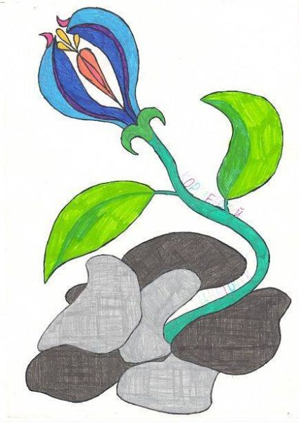 Платонов а. "неизвестный цветок"