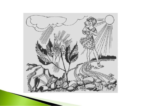 Раскраска неизвестный цветок Платонов