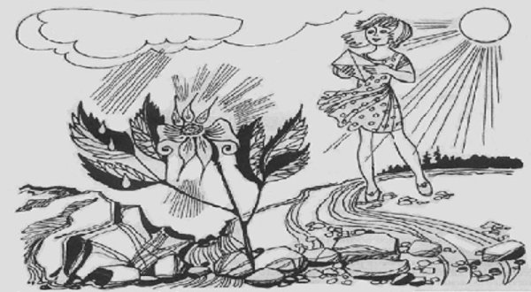 Неизвестный цветок Жанр