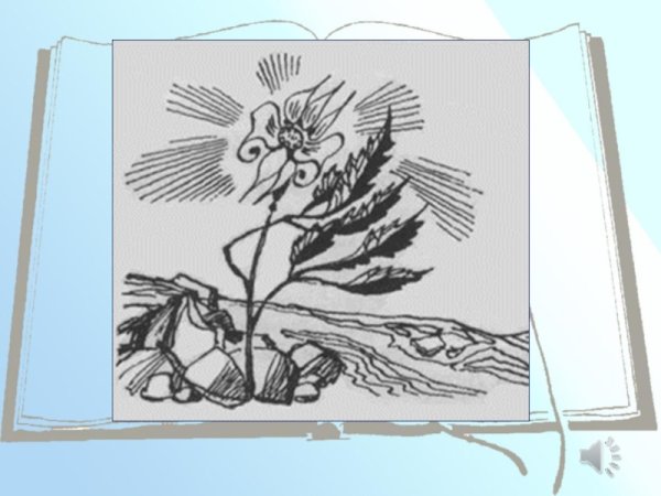 Неизвестный цветок Платонов рисунок