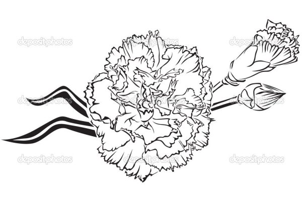 Георгиевская лента с гвоздикой