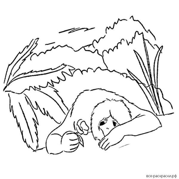 Раскраски Бель из красавицы и чудовища