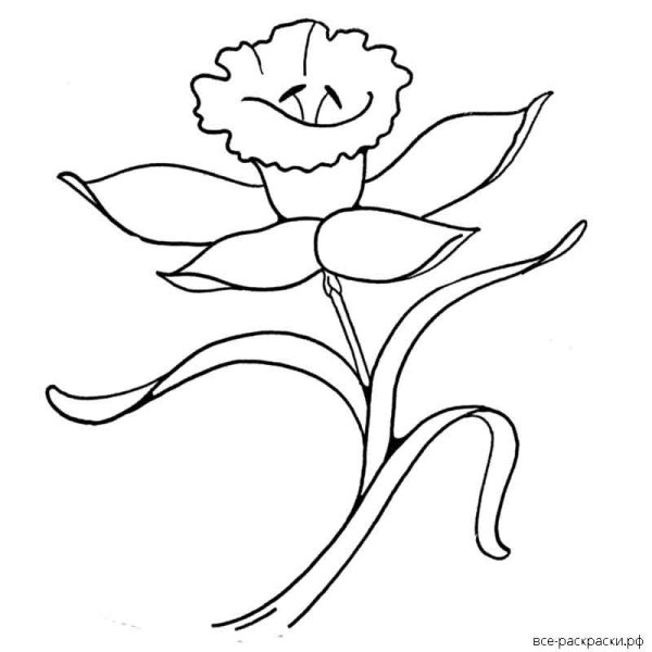 Аленький цветок раскраска