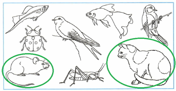 Простые механизмы физика