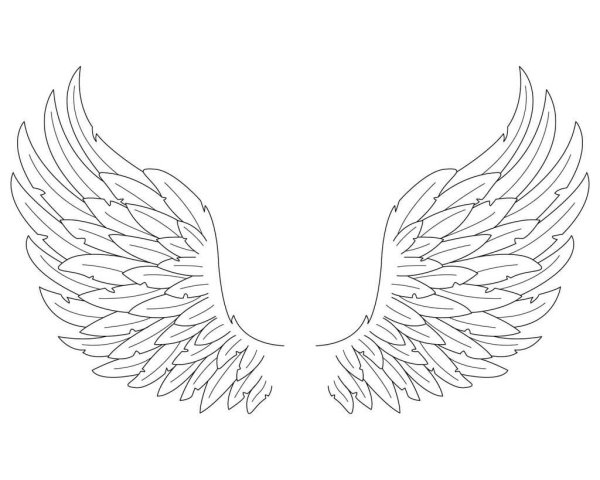 Крылья нарисованные