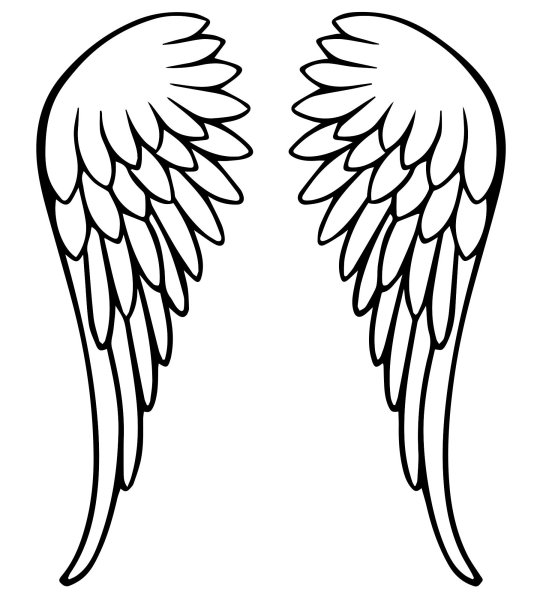 Крылья контур