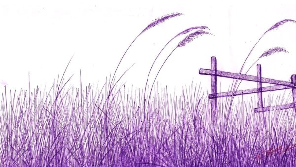 Колыхание травы на ветру