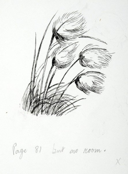 Трава простым карандашом